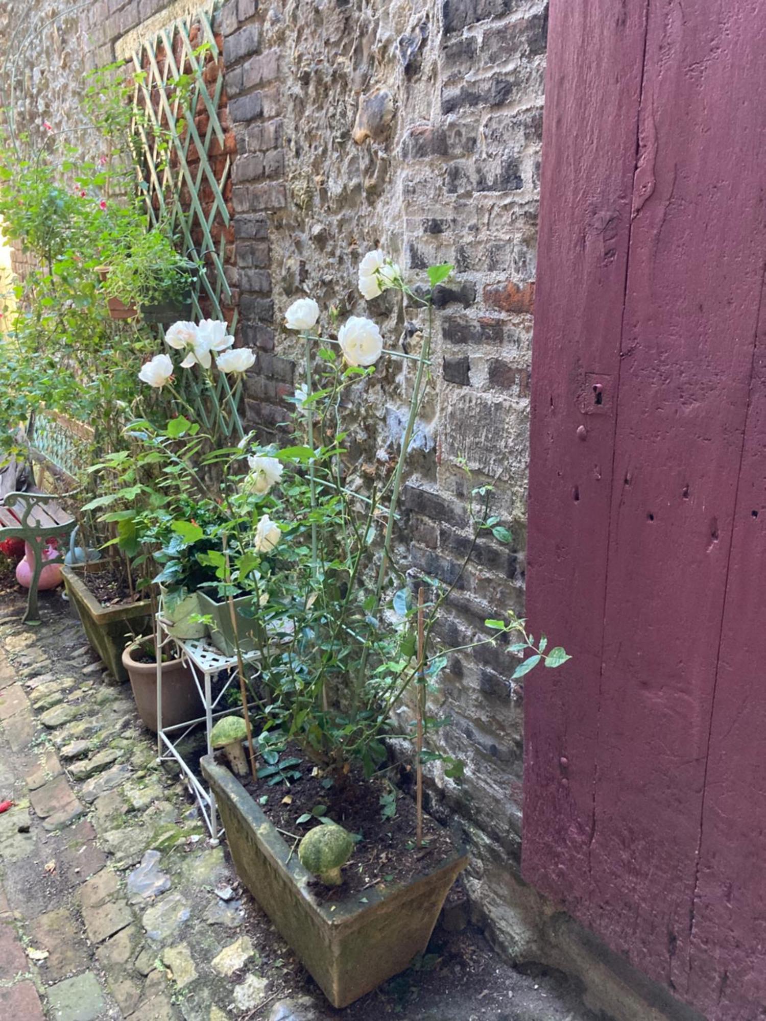 La Maison Belle Maree Honfleur Eksteriør billede